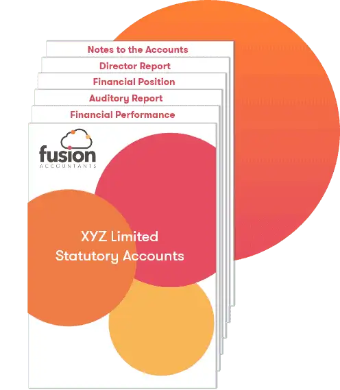 Statutory Accounts